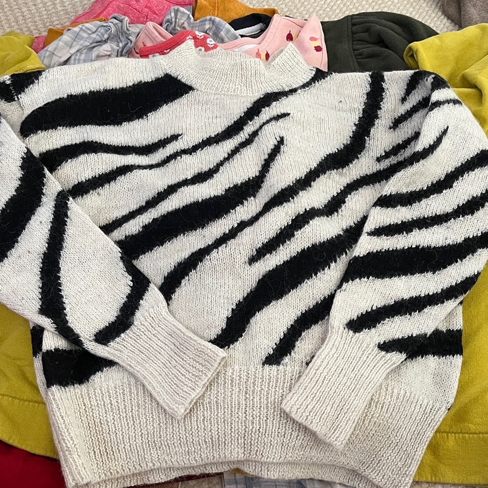 READ- Isabel Etoile Marant Zebra Patterned Women's Sweater